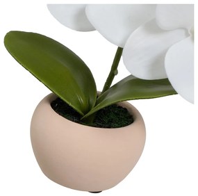 Plante artificiale 3 buc. (înălțime 15 cm) Orchid – Casa Selección