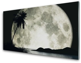 Tablou pe sticla Noapte Luna Palm Peisaj Negru Gri Alb