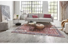 Covor Nouristan Vivana, 200 x 290 cm, roșu vișiniu