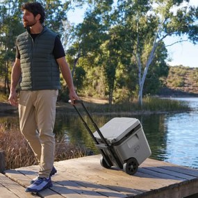 Lada frigorifica Ninja FrostVault FB230EUGY, 28 l, Pasiva, 48 doze, Pastreaza gheata pana la 5 zile, Compartiment uscat, Roti, Gri