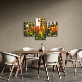 Tablou - florile lalelelor (90x60 cm)