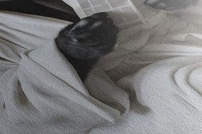 Tablou gorilă cu ziar pe toaletă
