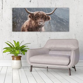 Tablou - Vaca Highlander (120x50 cm)