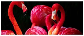 Tablou cu flamengo roșii (120x50 cm)