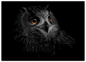 Tablou pe sticlă - Bufniță, ilustrație (70x50 cm)
