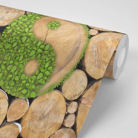 Fototapet Yin și Yang în design eco