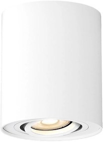 Rabalux Kobald lampă de tavan 1x42 W alb 2048