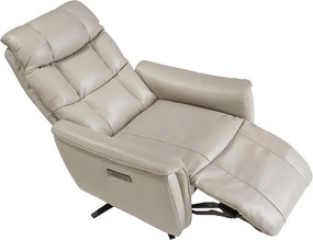 Fotoliu design LUX cu functia relax Cowhide Grey leather