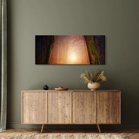 Tablou cu pădurea toamna în ceață (120x50 cm)