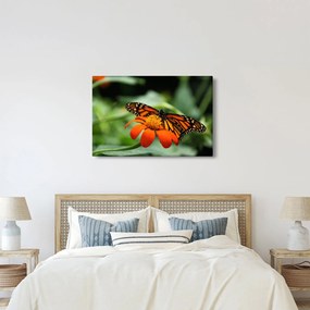 Tablou cu fluture pe floare (90x60 cm)
