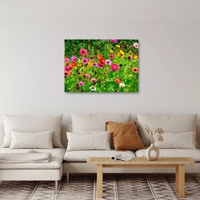 Tablou cu flori de luncă (70x50 cm)