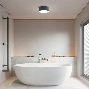 Brilagi - Plafonieră LED pentru baie FORIS, 20W, 230V, Ø 15 cm, antracit, IP44