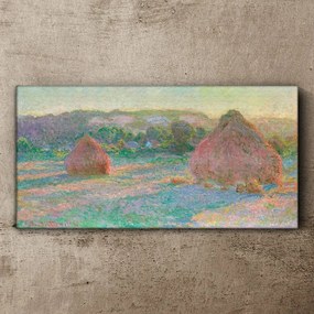 Tablou canvas Căpioare de fân Monet