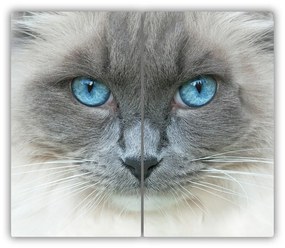 Tocator din sticla Cat ochi albaștri