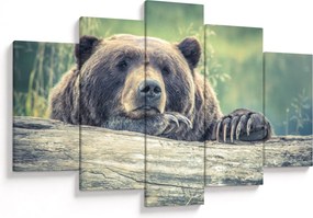 Tablou cu urs (150x105 cm)