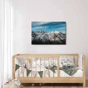 Tablou cu vârfuri înzăpeziți, Fiordland (90x60 cm)