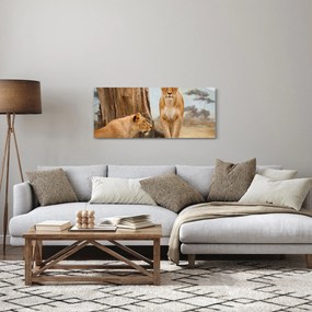 Tablou - două leoaice (120x50 cm)