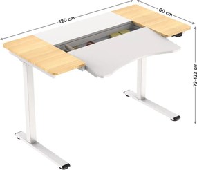 HALDEN birou cu reglare electrică a înălțimii, 120x60 cm alb-burlywood