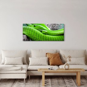 Tablou cu șerpi verzi (120x50 cm)