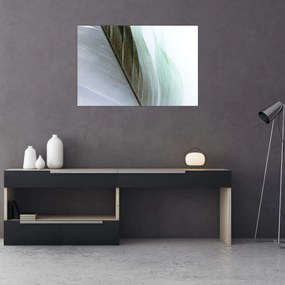 Tablou - Pene, macro (90x60 cm)