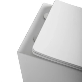 Capac vas wc cu capac quick release si soft close, alb, Fluminia, Clementina