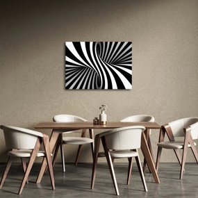 Tablou abstract cu dungi de zebră (70x50 cm)