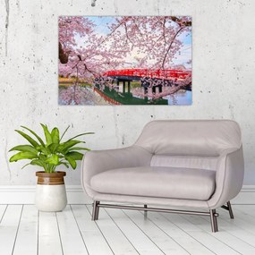 Tablou - Hirosaki, Japonia (90x60 cm)