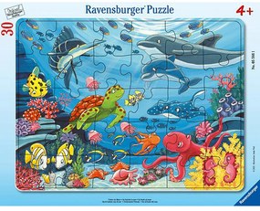 PUZZLE TIP RAMA ANIMALE MARINE, 30 PIESE - RAVENSBURGER (RVSPC05566)