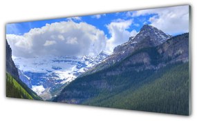 Tablouri acrilice Munții Peisaj Gri Albastru Alb Verde