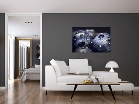 Tablou cu fructe cu picături de apă (90x60 cm)