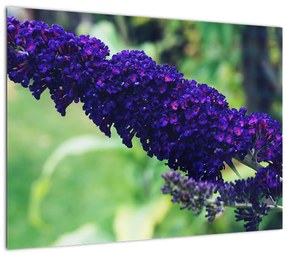 Tablou pe sticlă cu floare albastră (70x50 cm)