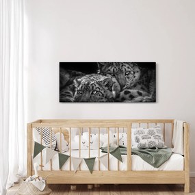 Tablou - Gheparzi care se odihnesc (120x50 cm)
