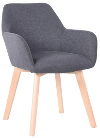 Fotoliu de design Clorita (Gri închis). 1016549