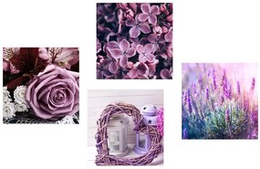 Set tablouri flori violete frumoase cu inimioară