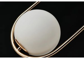 Lustră pe cablu COCO 1xG9/50W/230V Azzardo AZ4981