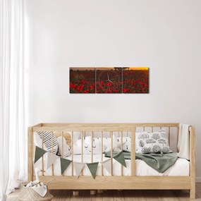 Tablou cu lunca și macii (cu ceas) (90x30 cm)