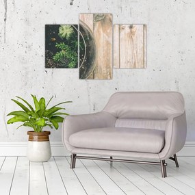 Tablou - Terariu de sticlă (90x60 cm)