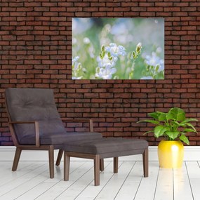 Tablou - Flori delicate (90x60 cm)