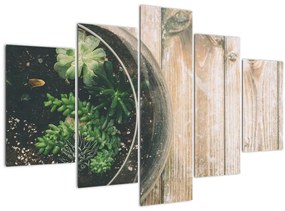 Tablou - Terariu de sticlă (150x105 cm)