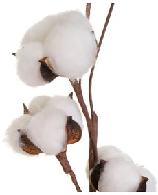 Plantă uscată (înălțime 55 cm) Cotton – Casa Selección
