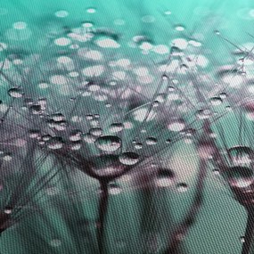 Tablou - planta cu rouă (120x50 cm)