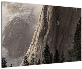 Tablou din valea Yosemite parcul național, SUA (90x60 cm)