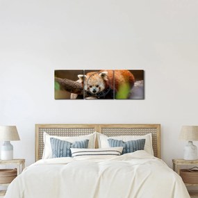 Tablou cu panda roșie (cu ceas) (90x30 cm)