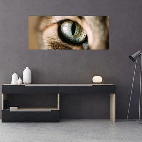 Tablou - Ochi de pisică (120x50 cm)