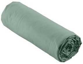 Cearceaf verde din bumbac percal cu elastic 140x190 cm Percaline – douceur d'intérieur