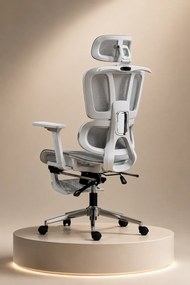 AERION – Scaun ergonomic, spătar ergonomic segmentat, suport lombar 3D, tetieră reglabilă, cotiere 3D, suport pentru picioare, înclinare până la 145°, bază metalică, Mesh, Gri