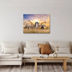 Tablou - Animae din Africa (70x50 cm)