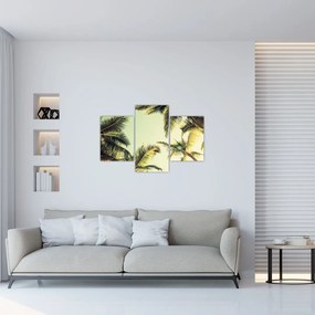 Tablou - Palmieri de cocos (90x60 cm)