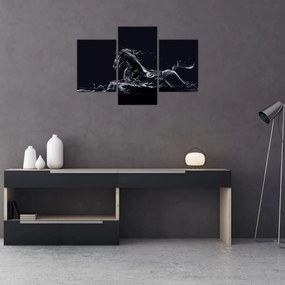 Tablou - Cal și apă (90x60 cm)