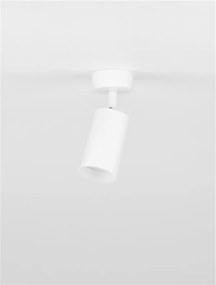 Spot aplicat directionabil minimalist REIG, NVL-9011532